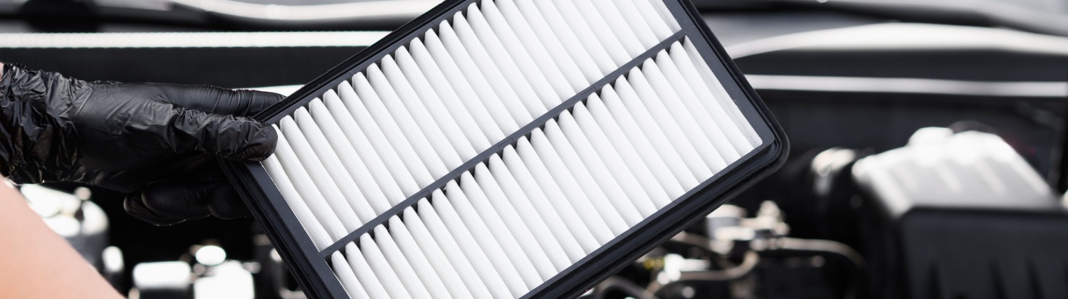 Professional Cabin Air Filter Replacement Services